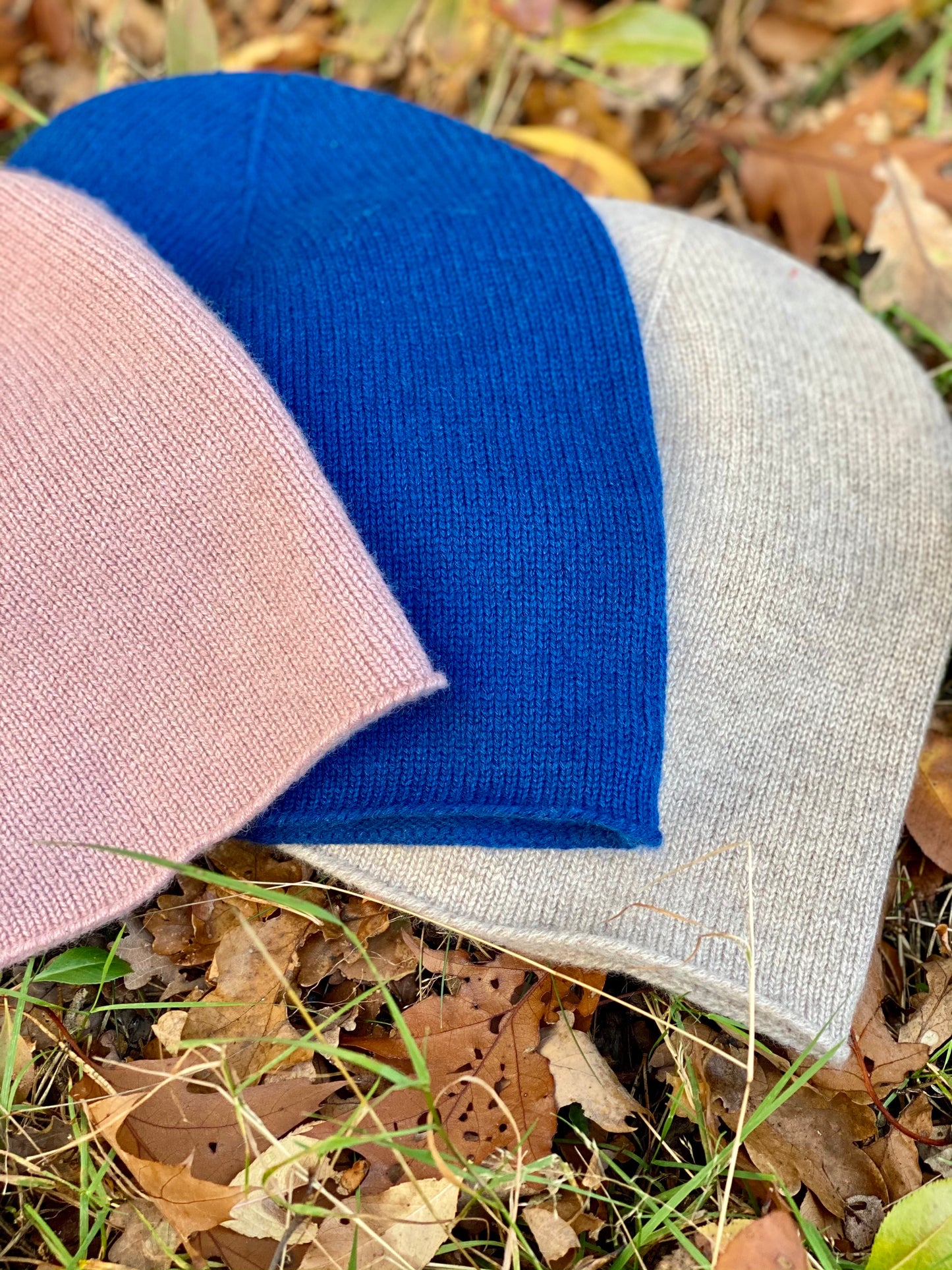 Beanie Powder